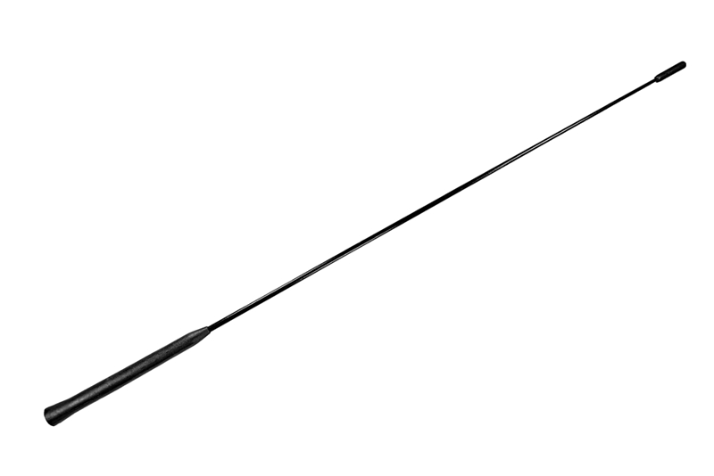 2007 Ford focus antenna removal